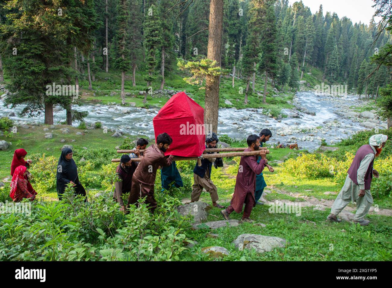 Gujjar (nomad) men carry a bride in the traditional palanquin as they ...