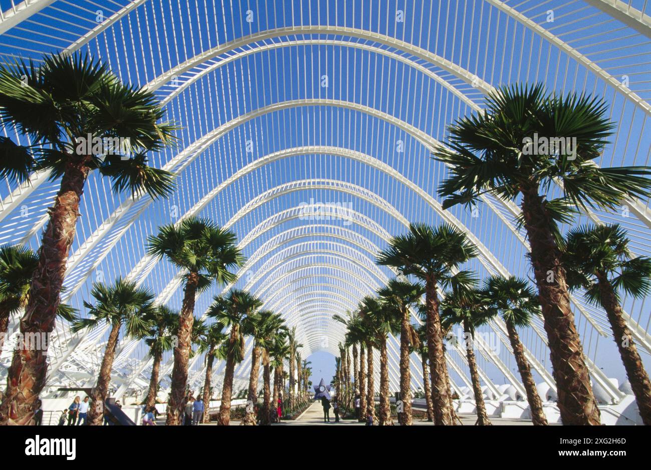 The ´Umbracle´, City of Arts and Sciences, by S. Calatrava. Valencia ...