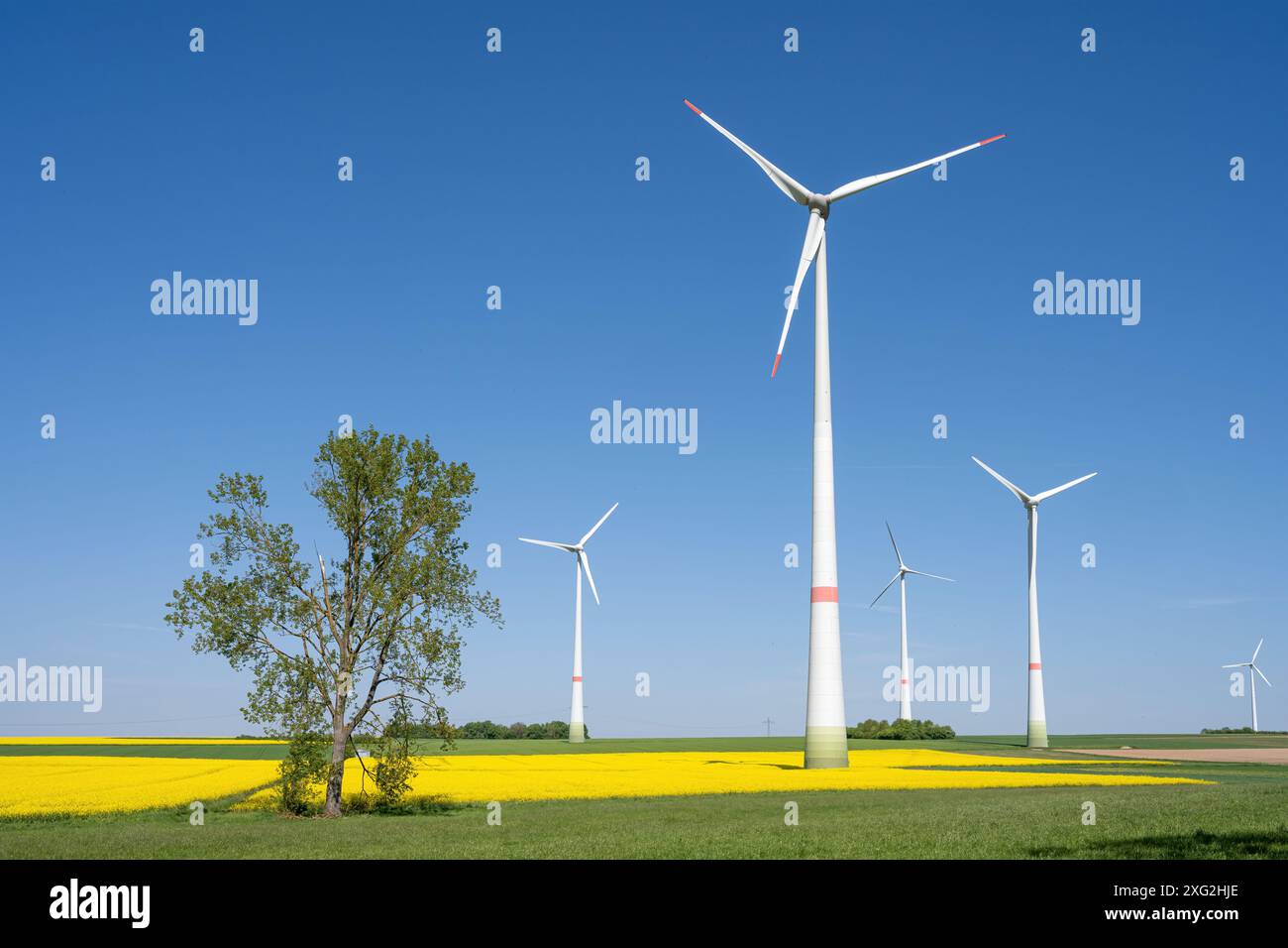 Wind powerplant in rural hi-res stock photography and images - Alamy