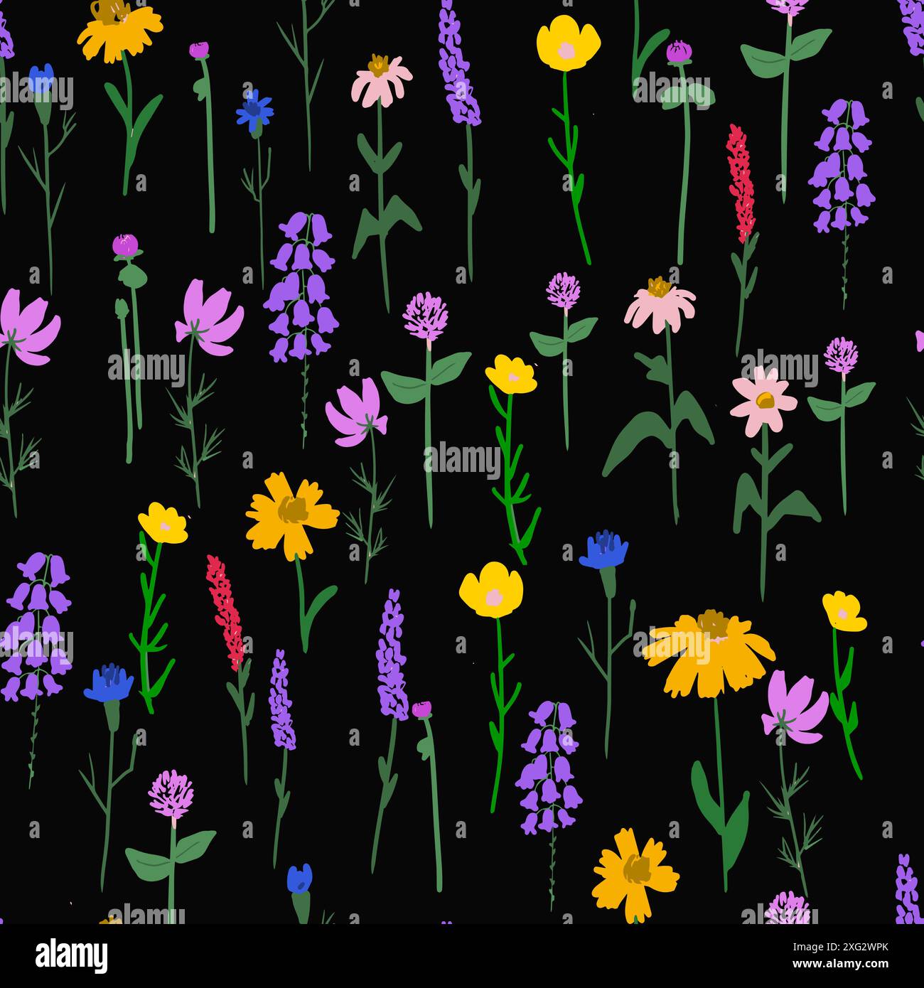 Wild blue flowers blossom Stock Vector Images - Alamy