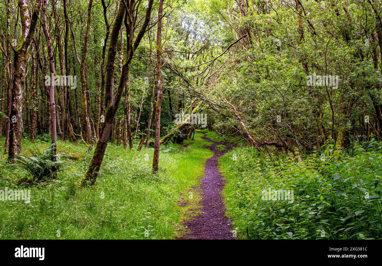 Scotland Weather for July Forecast and Tips