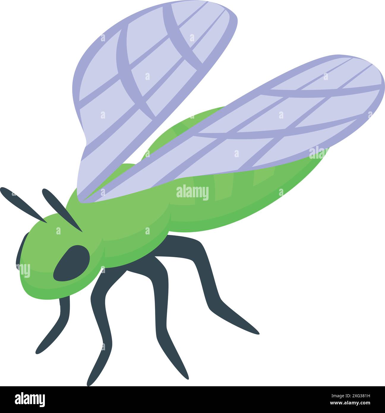 Common green insect Stock Vector Images - Alamy