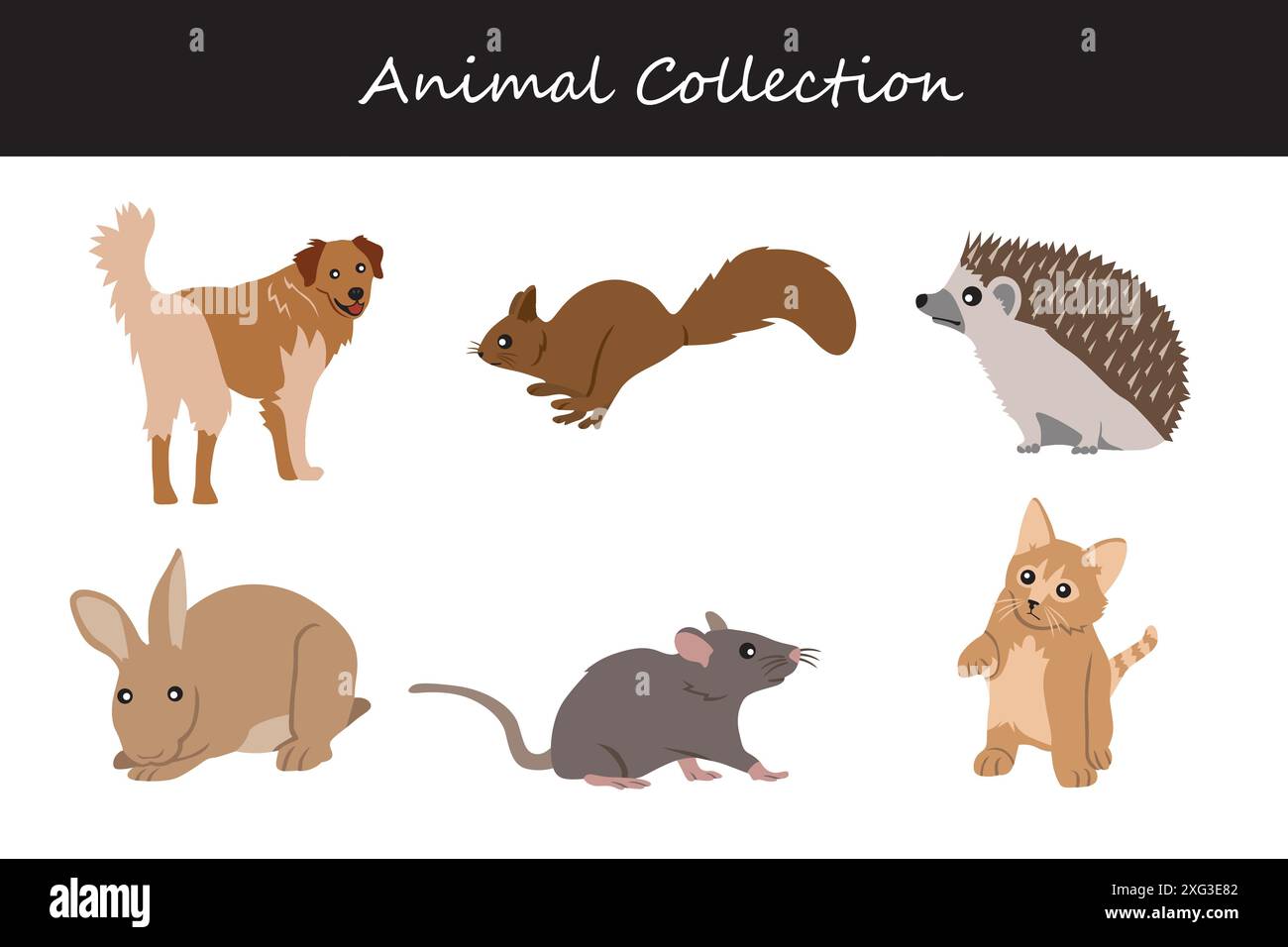 Animals collection. Flat style vector illustration Stock Vector Image ...