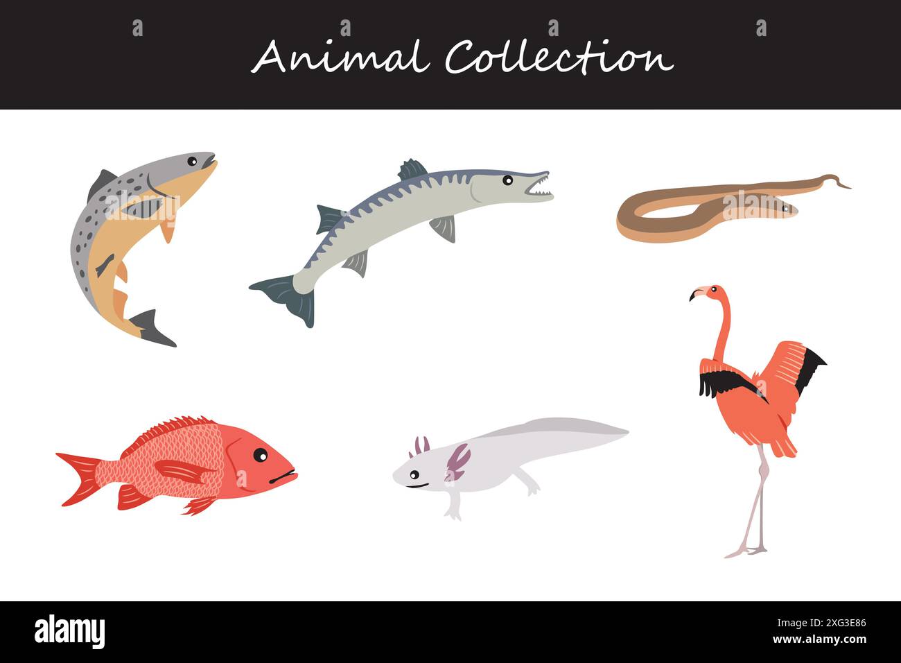 Animals collection. Flat style vector illustration Stock Vector Image ...