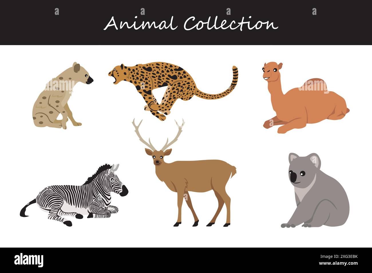 Animals collection. Flat style vector illustration Stock Vector Image ...