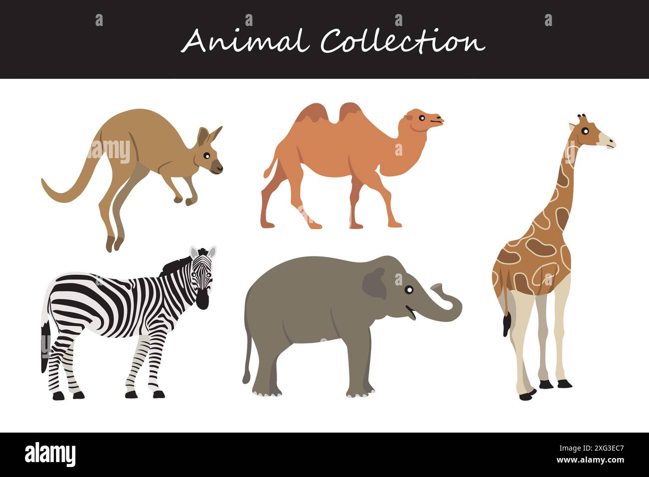 Animals collection. Flat style vector illustration Stock Vector Image ...
