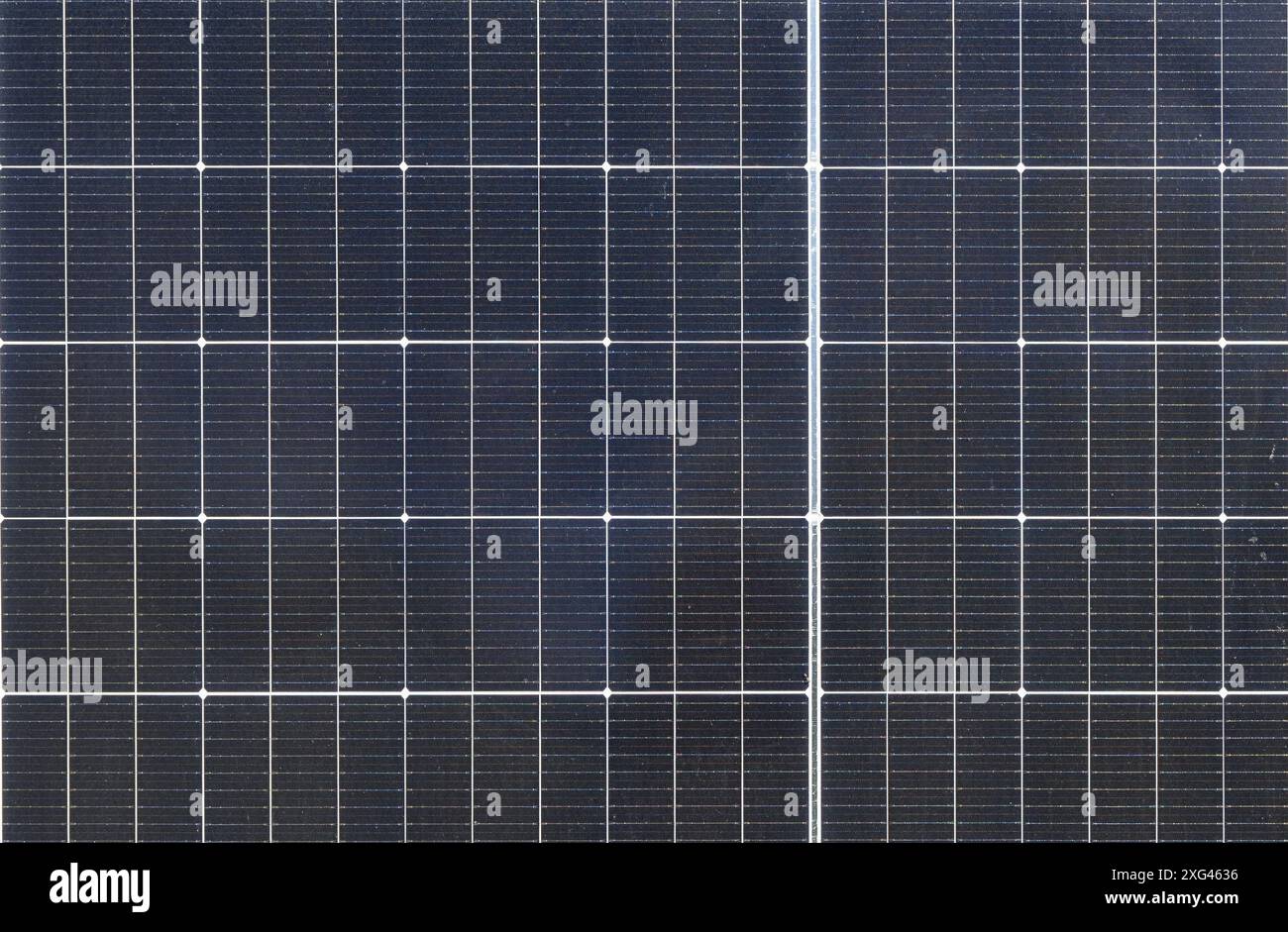 Detailed cell structure hi-res stock photography and images - Alamy
