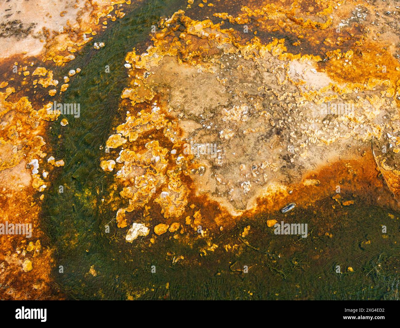 Sitting atop a massive super volcano, Yellowstone National Park is home to extraordinary thermal features Stock Photo