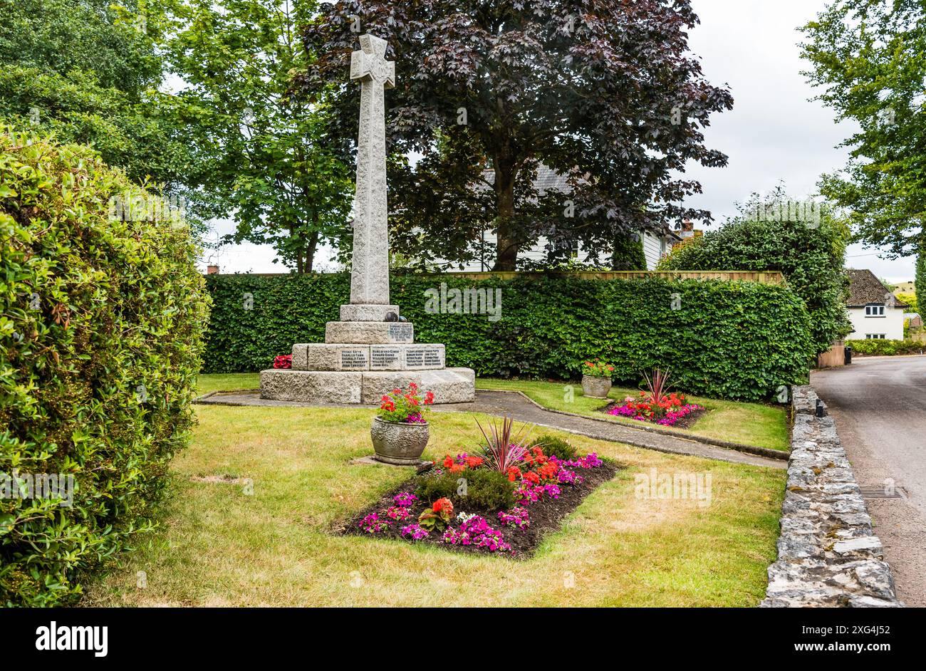 Devon flower hi-res stock photography and images - Alamy