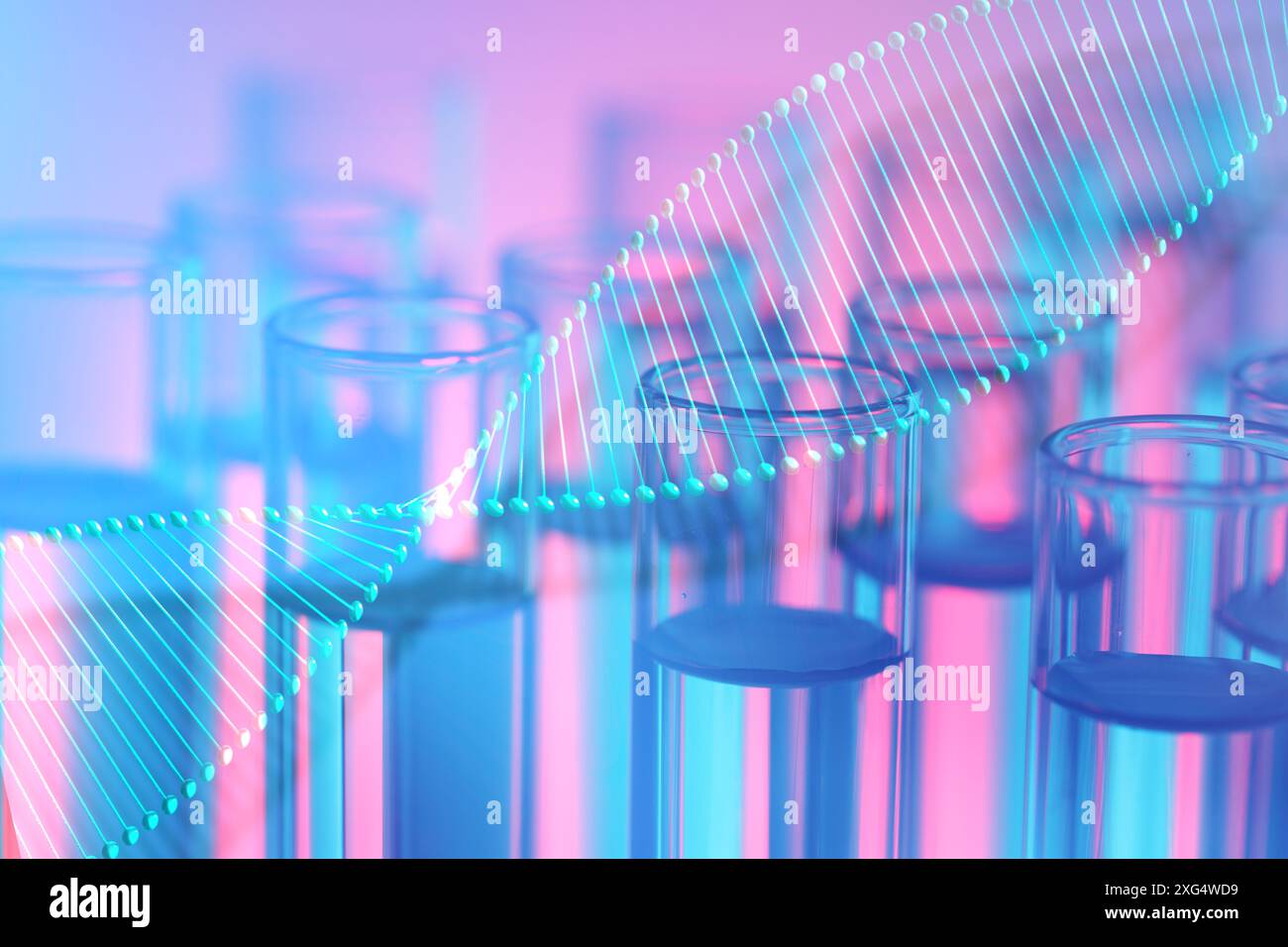 Illustration of DNA and test tubes with samples, double exposure Stock ...