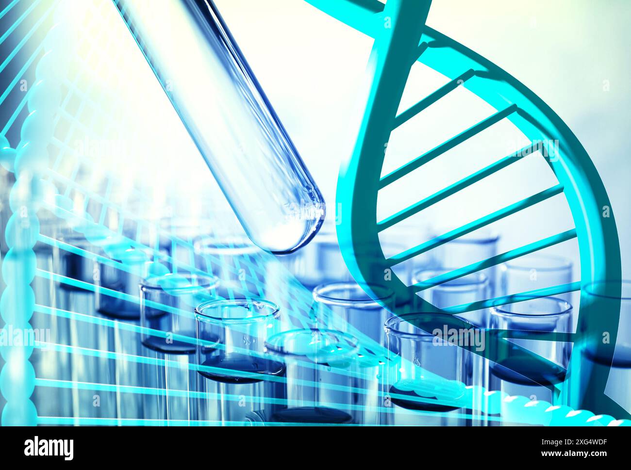 Illustrations of DNA and test tubes with samples, double exposure Stock ...