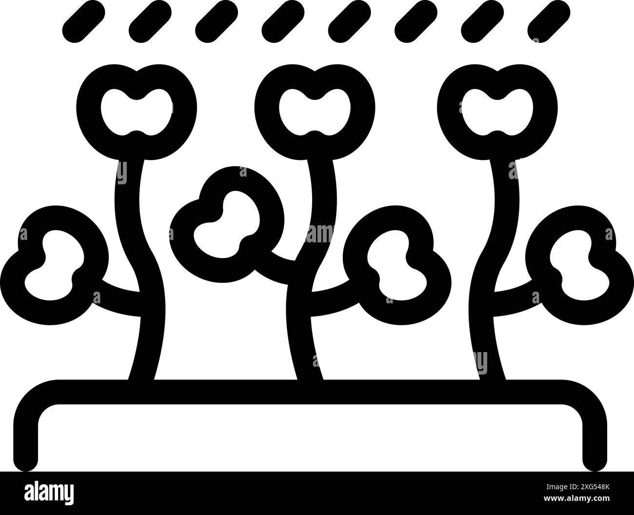 Simple black line icon of cotton plants growing under the rain Stock Vector