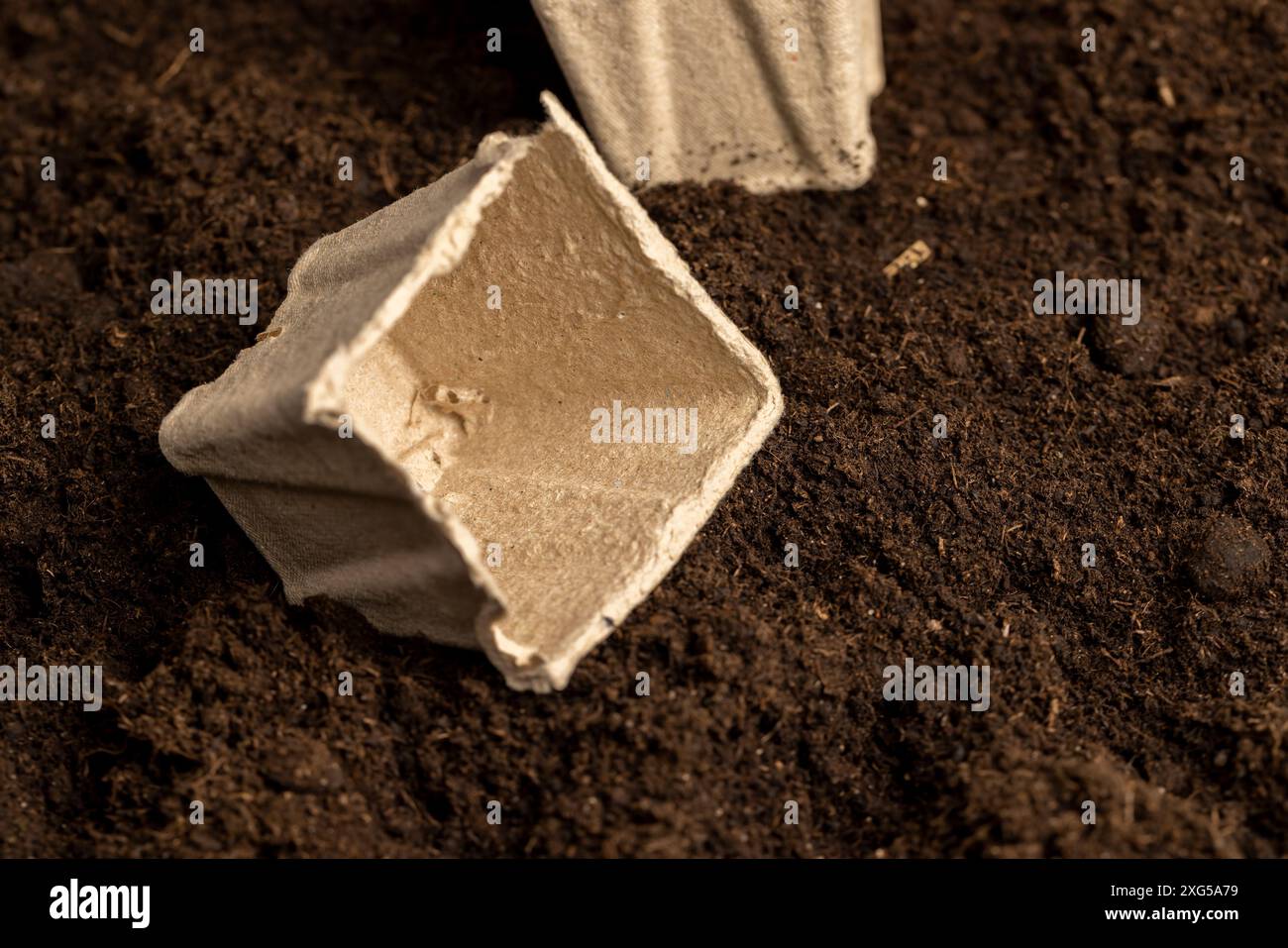 peat paper cups for growing seedlings, square containers for seedlings ...