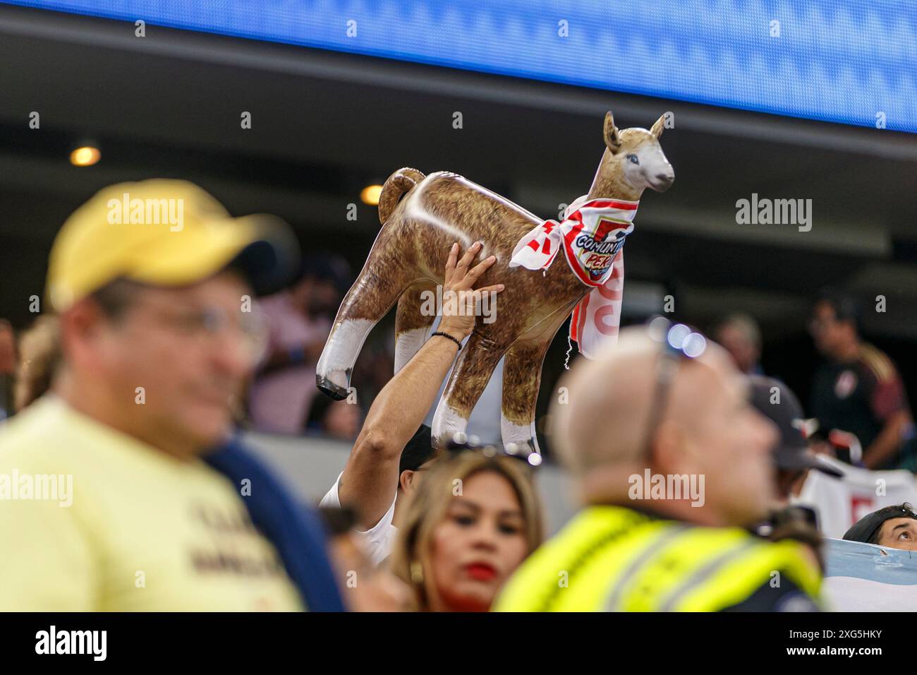 ARLINGTON, TEXAS - JUNE 21: A fan of Peru enjoy prior the CONMEBOL Copa ...