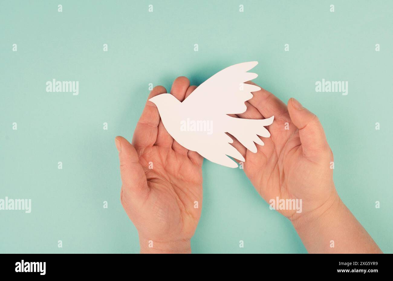 Holding a white dove in the hands, symbol of peace, paper cut out, copy space for text Stock Photo