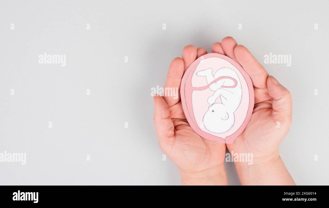 Unborn baby in the uterus, drawing of a fetus in the last trimester of pregnancy, childbirth and motherhood, gynecology health care Stock Photo