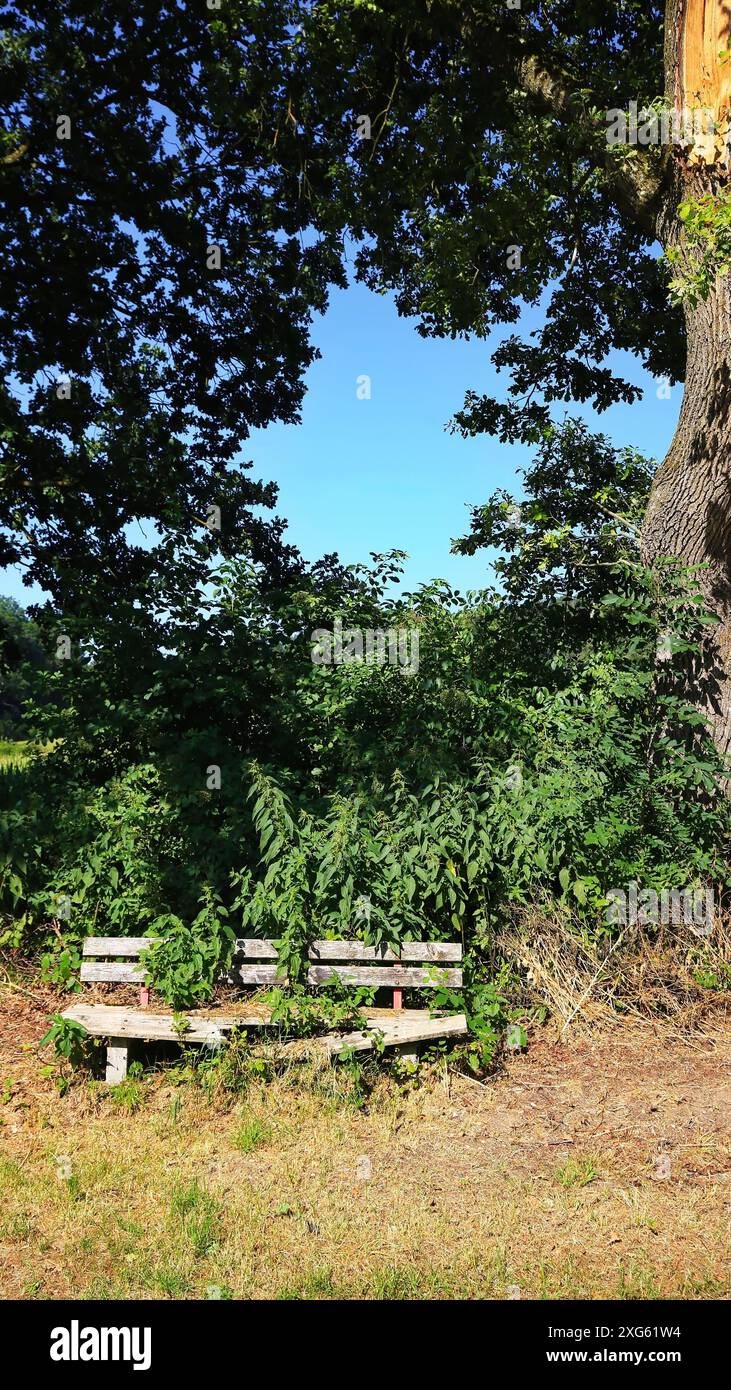 Scruffy bench hi-res stock photography and images - Alamy