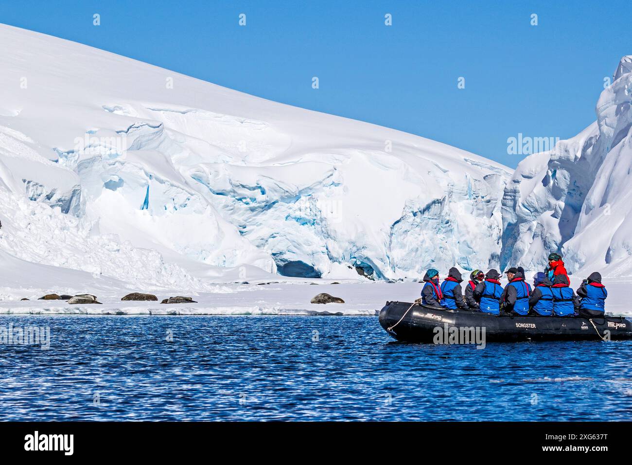 Zodiac cruising watching seals, Melchior Island, Antarctica, Sunday