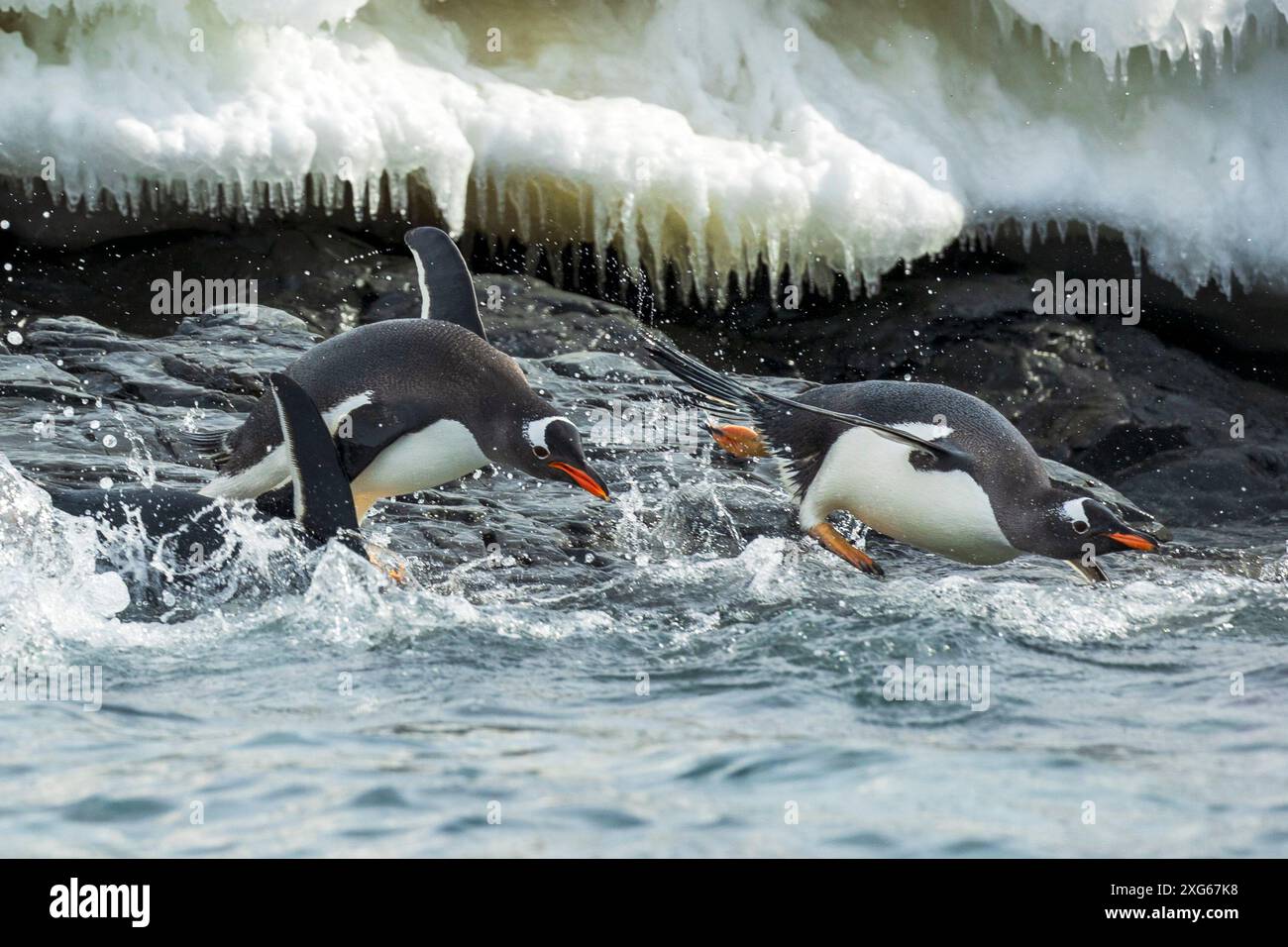 Sea Terrain Hi res Stock Photography And Images Alamy