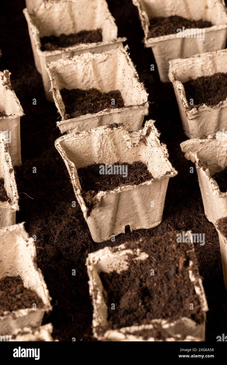 peat paper cups for growing seedlings, square containers for seedlings ...