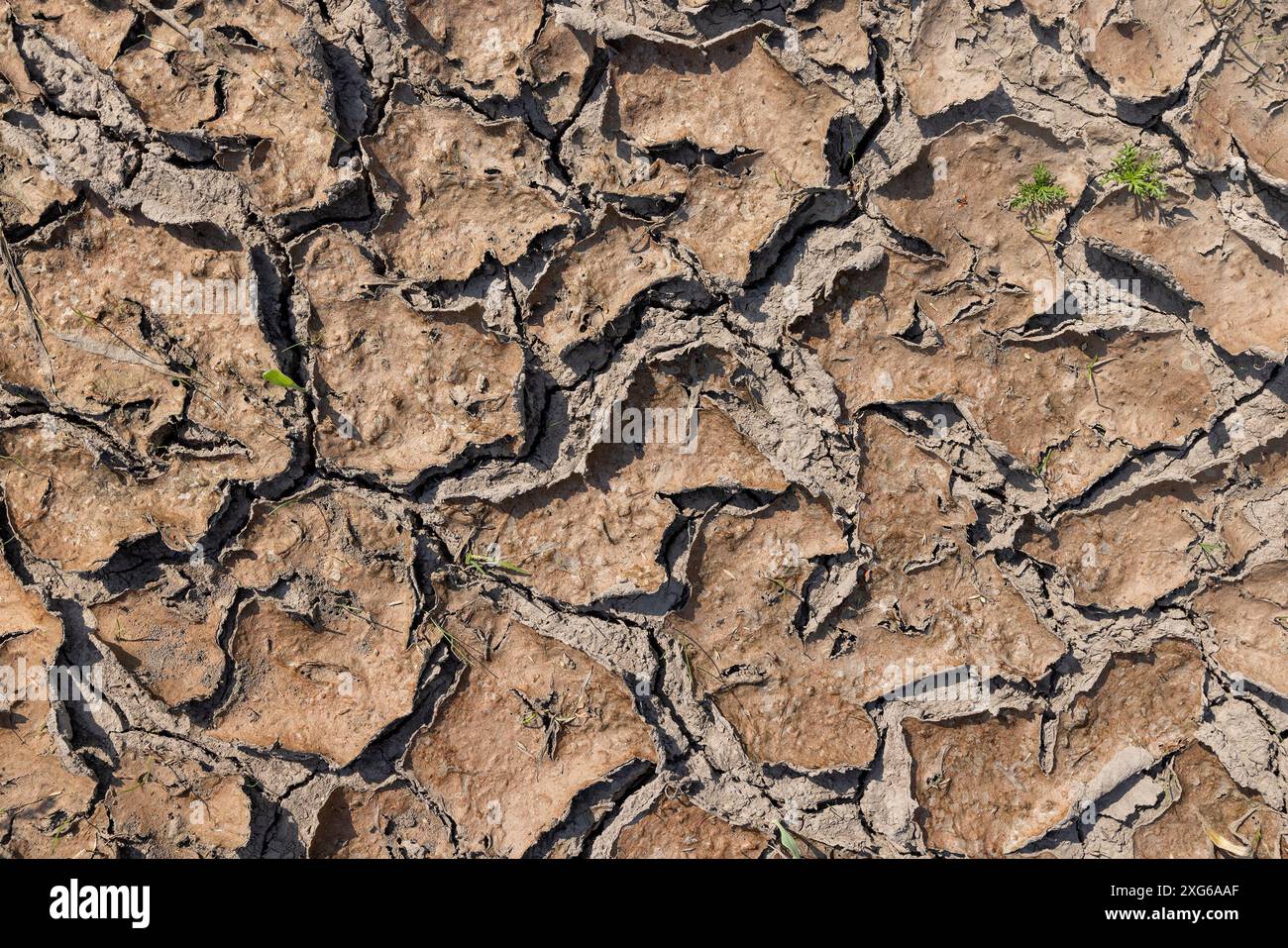 Uy qurgan kelin jinsiy aloqa