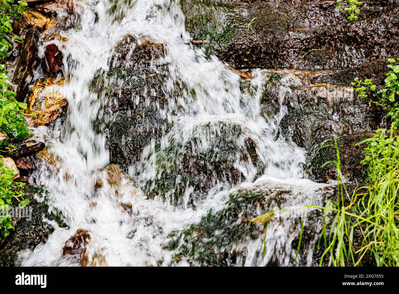 Closeup of water flowing between stones of a waterfall among wild grass, blurred background, summer day in Warche Valley, Waimes, Belgium Stock Photo