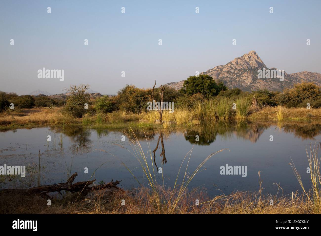 Jawai Lake, near Bera, Rajasthan, India Stock Photo - Alamy