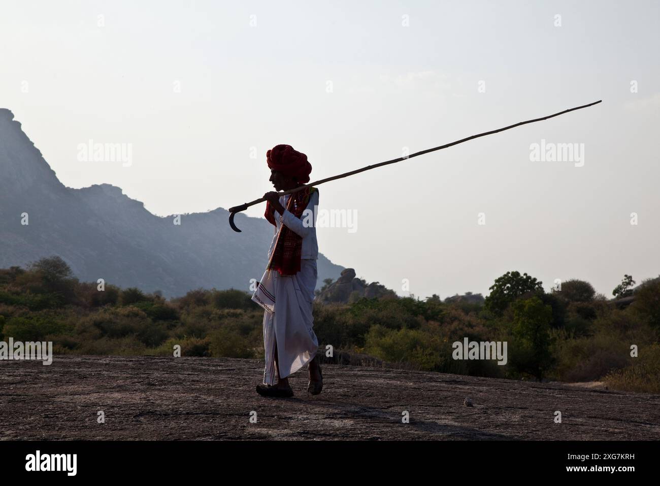 Goat herder rajasthan hi-res stock photography and images - Alamy