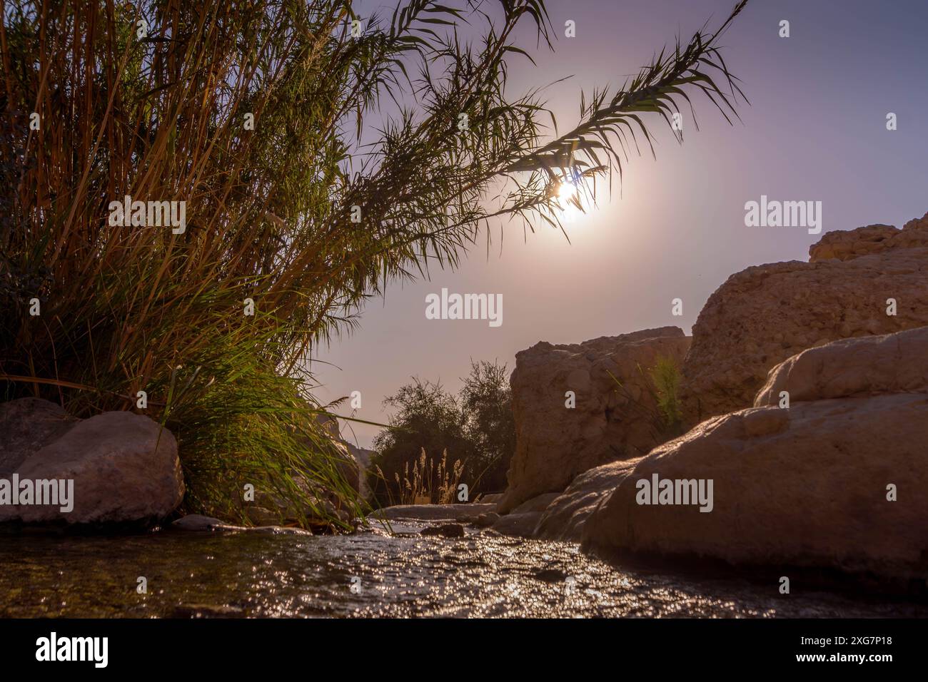 The refreshing spring between the rocks of Ein Gedi reserve in Israeli ...