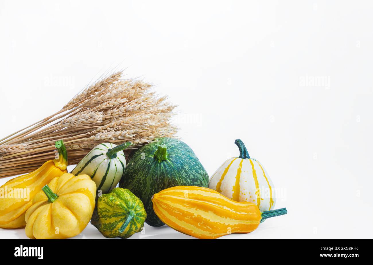 Time harvest wheat grown hi-res stock photography and images - Alamy