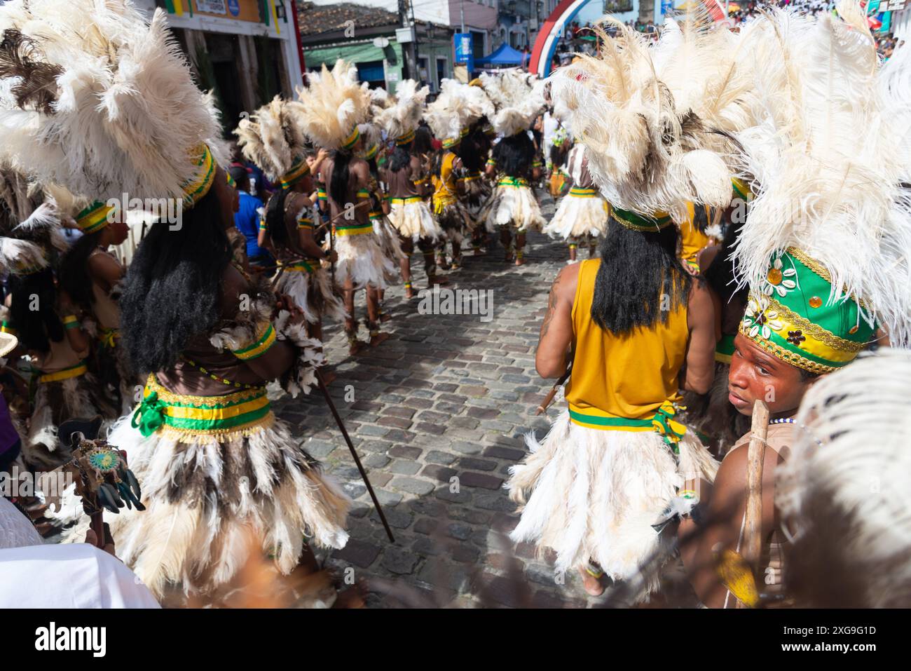 Brazil indigenous flag hi-res stock photography and images - Alamy
