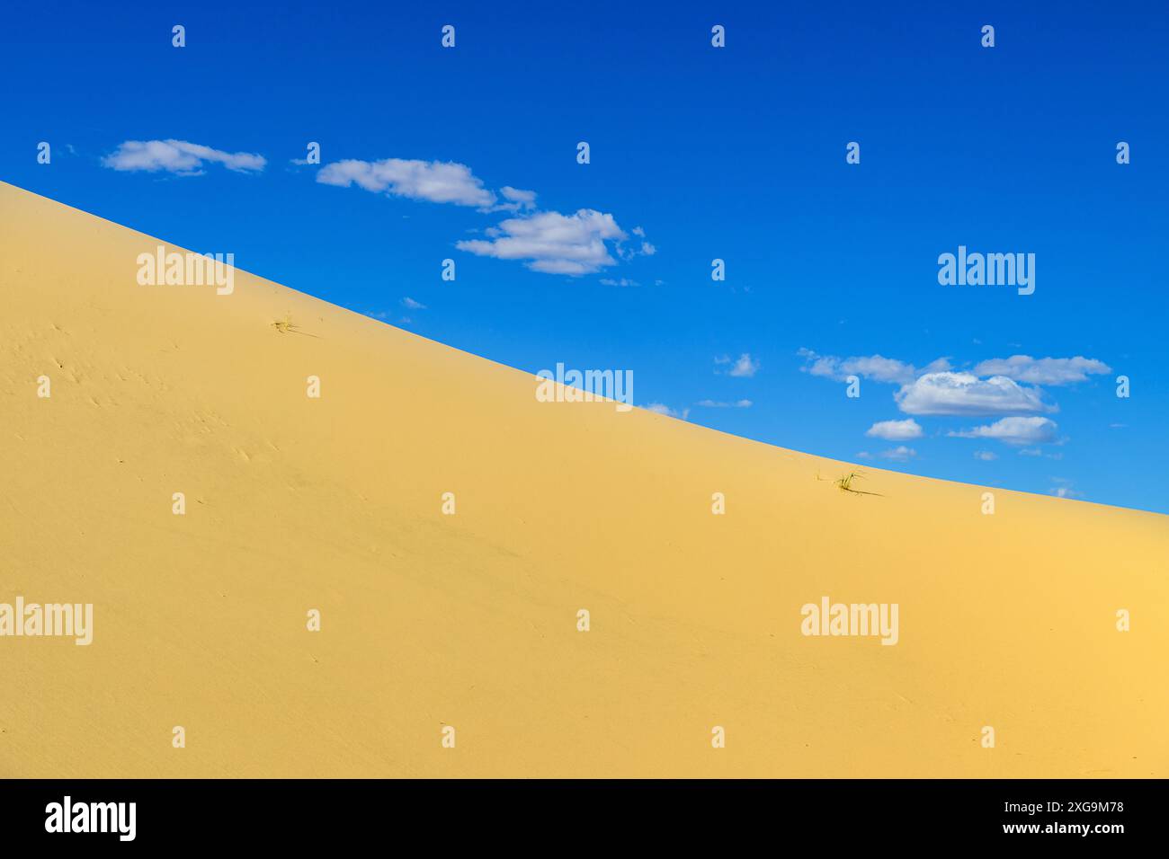 Kelso Dunes, also known as the Kelso Dune Field, is the largest field of aeolian sand deposits in the Mojave Desert. The region is protected by the Mo Stock Photo
