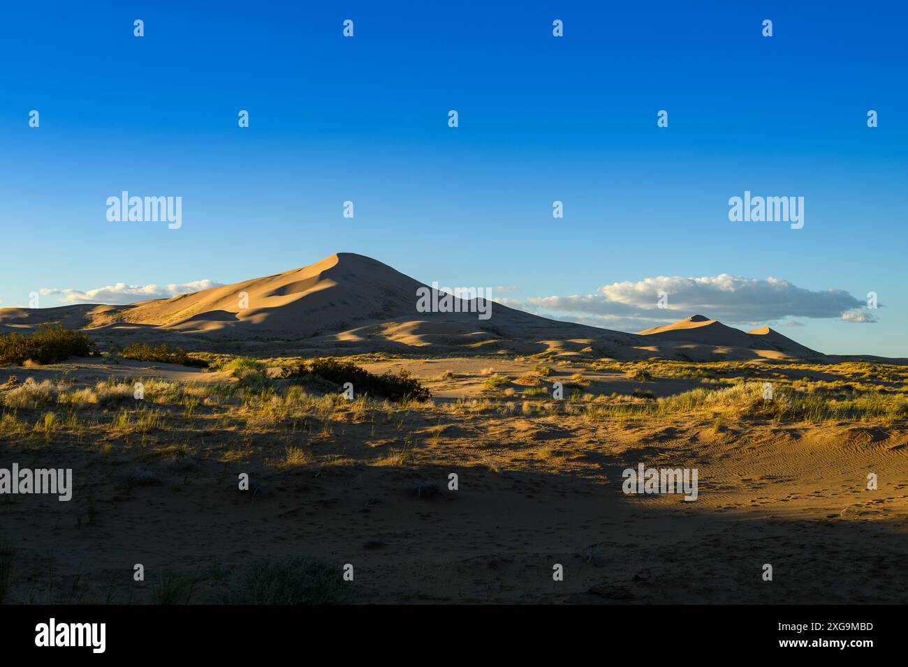 Kelso Dunes, also known as the Kelso Dune Field, is the largest field of aeolian sand deposits in the Mojave Desert. The region is protected by the Mo Stock Photo