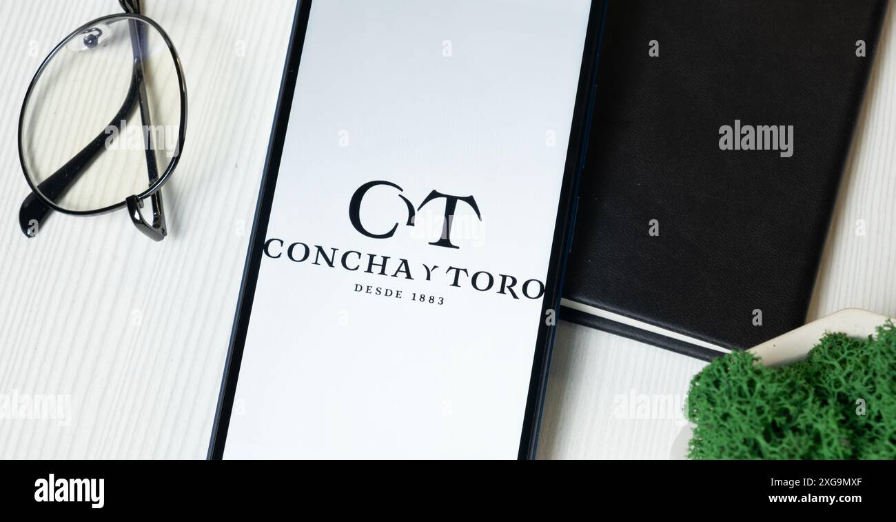 New York, USA - 1 June 2024: Vina Concha y Toro Logo on Phone Screen, Company Icon. Stock Photo