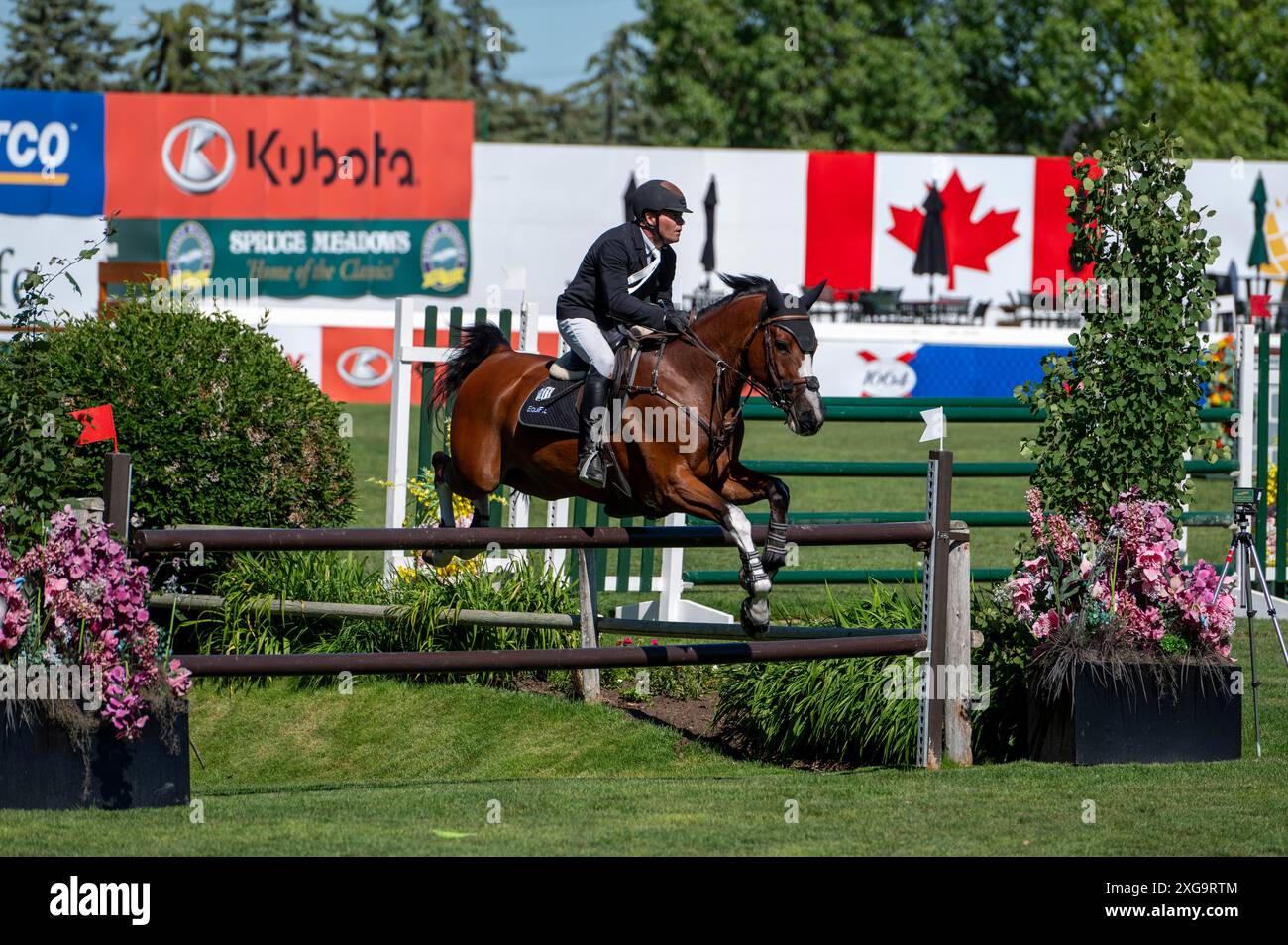 Calgary, Alberta, Canada, 7 July 2024. Kyle King (USA) riding Ezio de ...