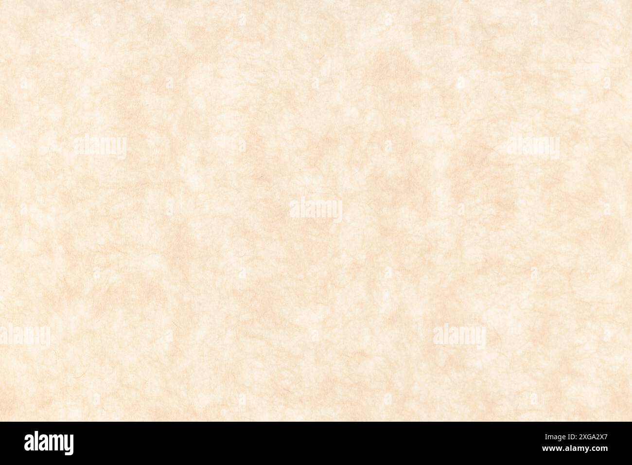 Recycled cardboard background texture. Beige color, full frame Stock Photo