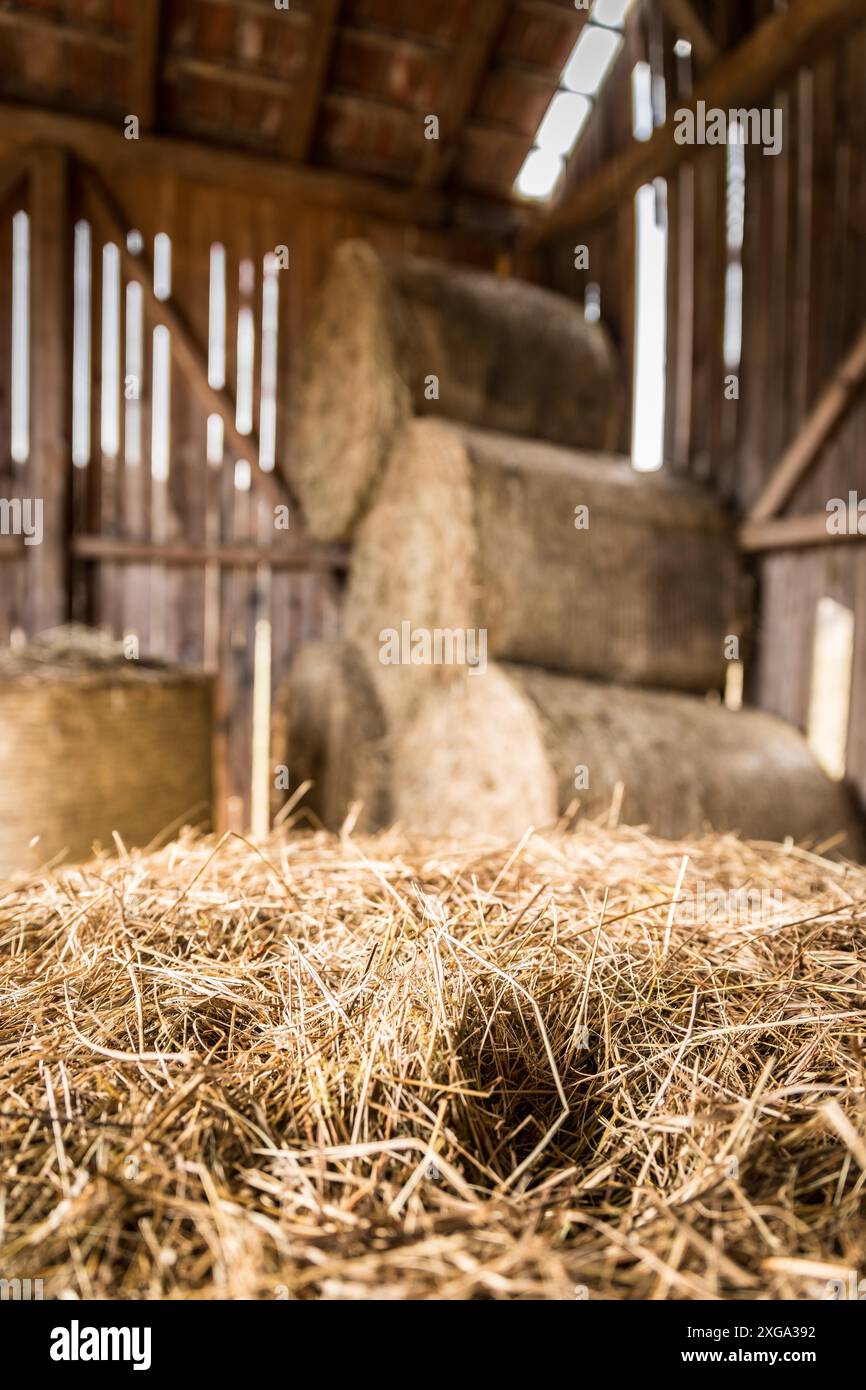Stack Hay/straw Old straw bales stack on hi-res stock photography and images - Alamy
