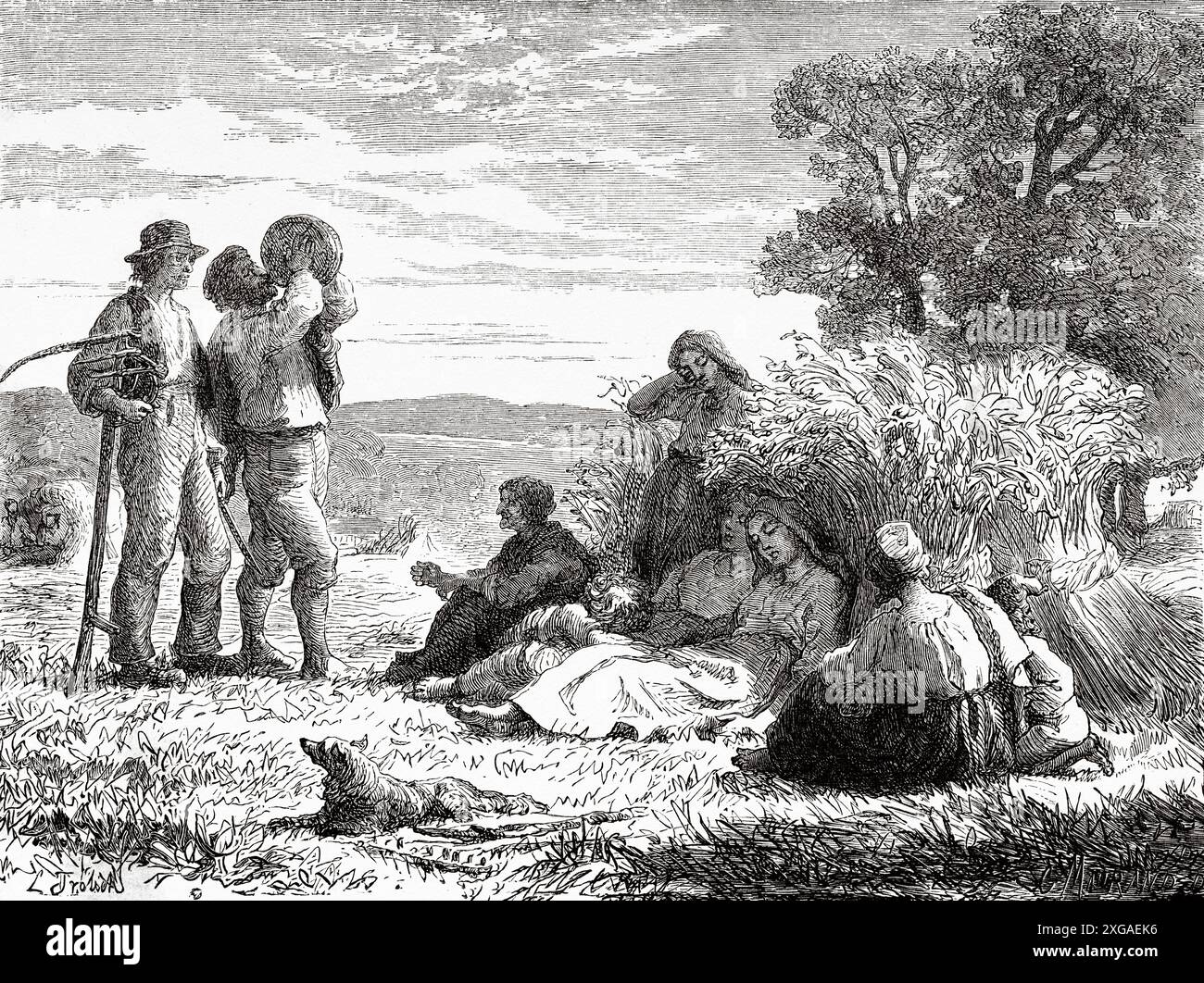 Danish farmers resting after harvesting in the fields. Denmark, drawing by Lorenz Frolich (1820-1908) from Journey to Denmark, 1860 by Jean-Marie Dargaud (1800-1866) Le Tour du Monde 1862 Stock Photo