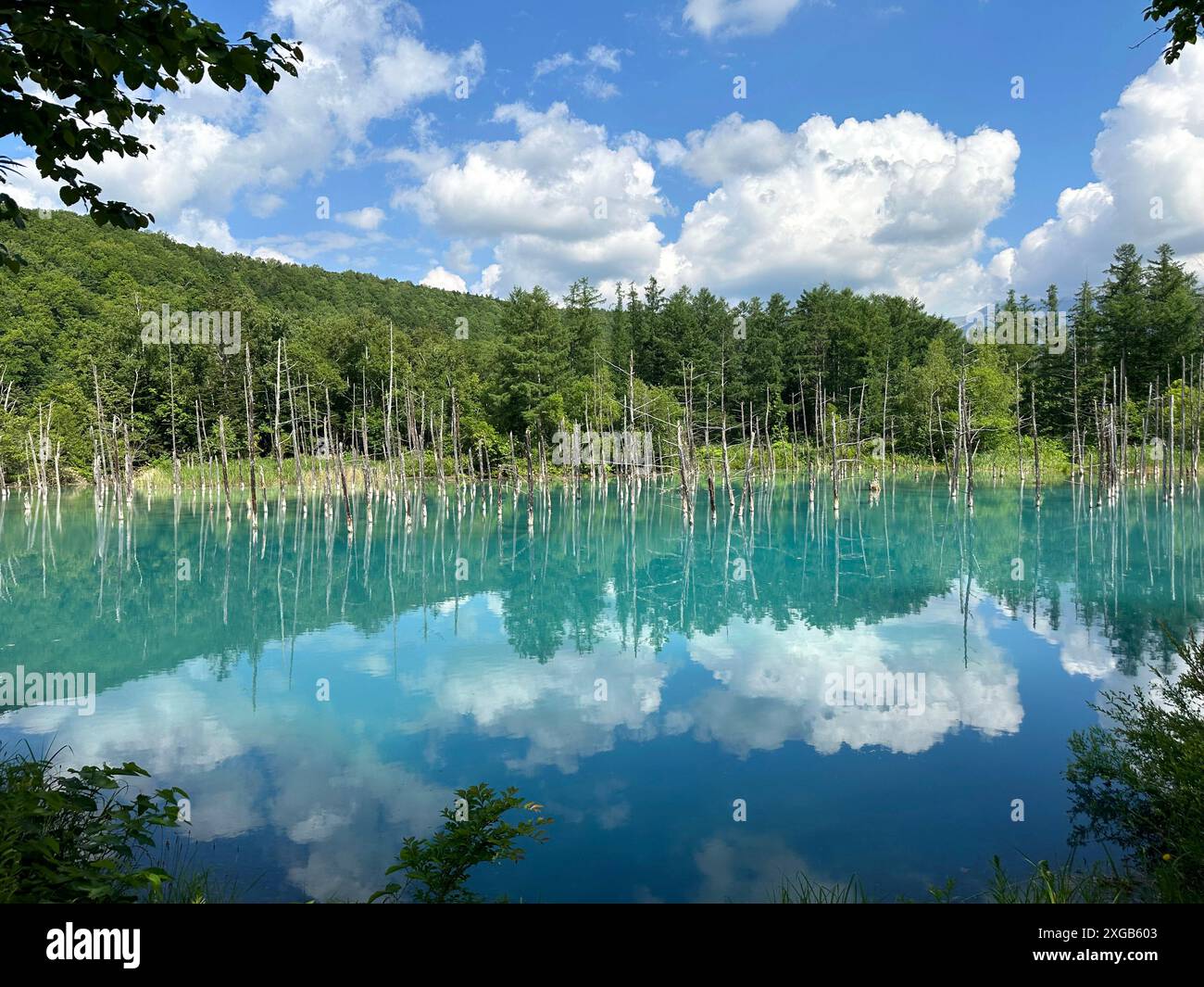 Beautiful scenery Blue Pond, aoi-ike in Japanese, in summer Shirogane ...