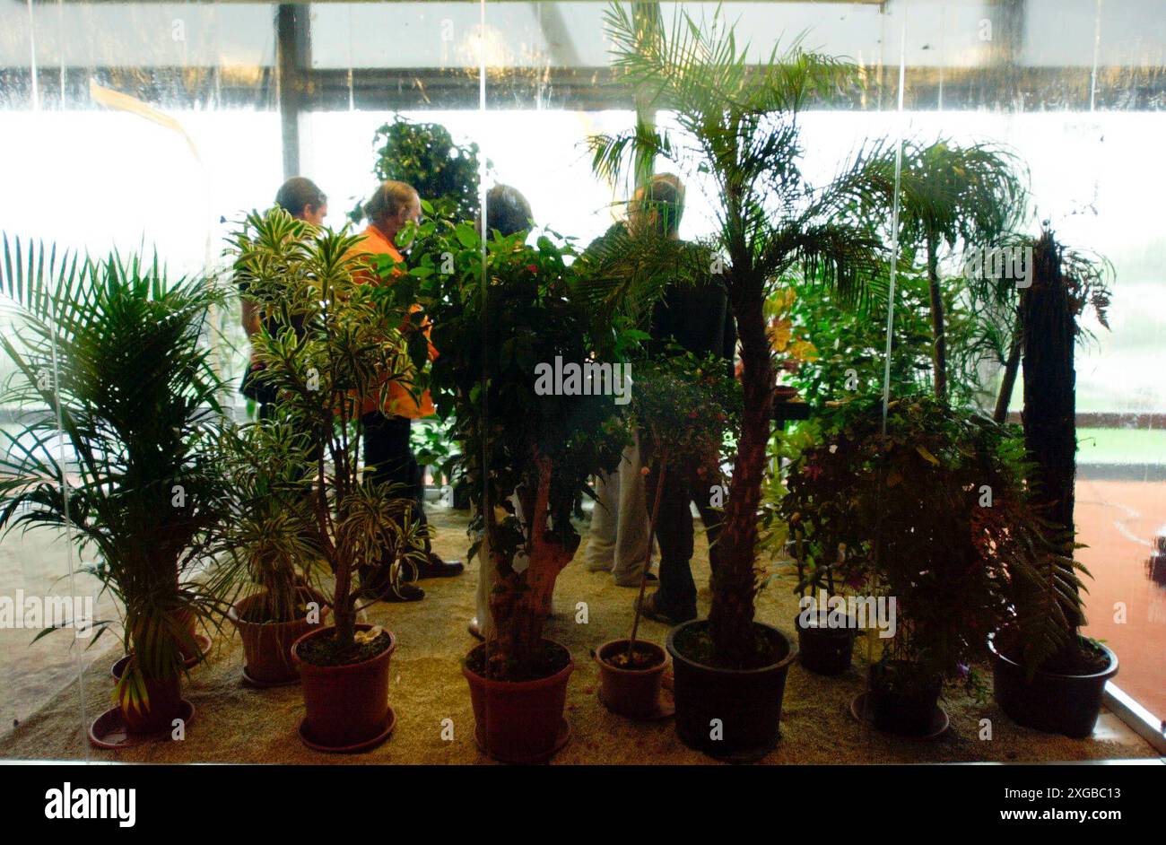Gallery image with a fresh perspective