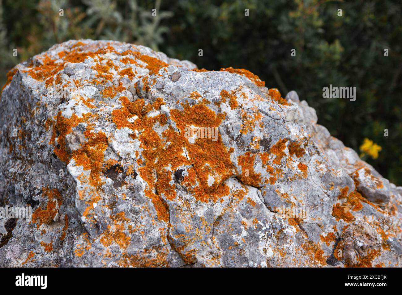 Rock stone mineral hi-res stock photography and images - Alamy
