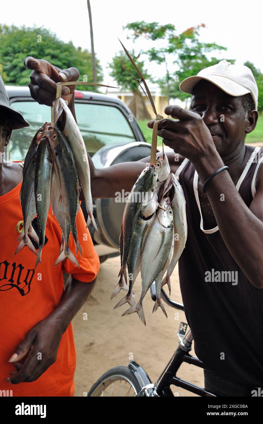 Fresh fish for sale, New Mambone, Inhambane, Mozambique. Stock Photo