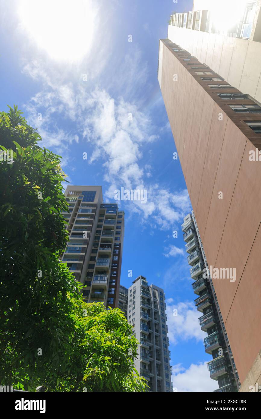Foreground showcases trees hi-res stock photography and images - Alamy