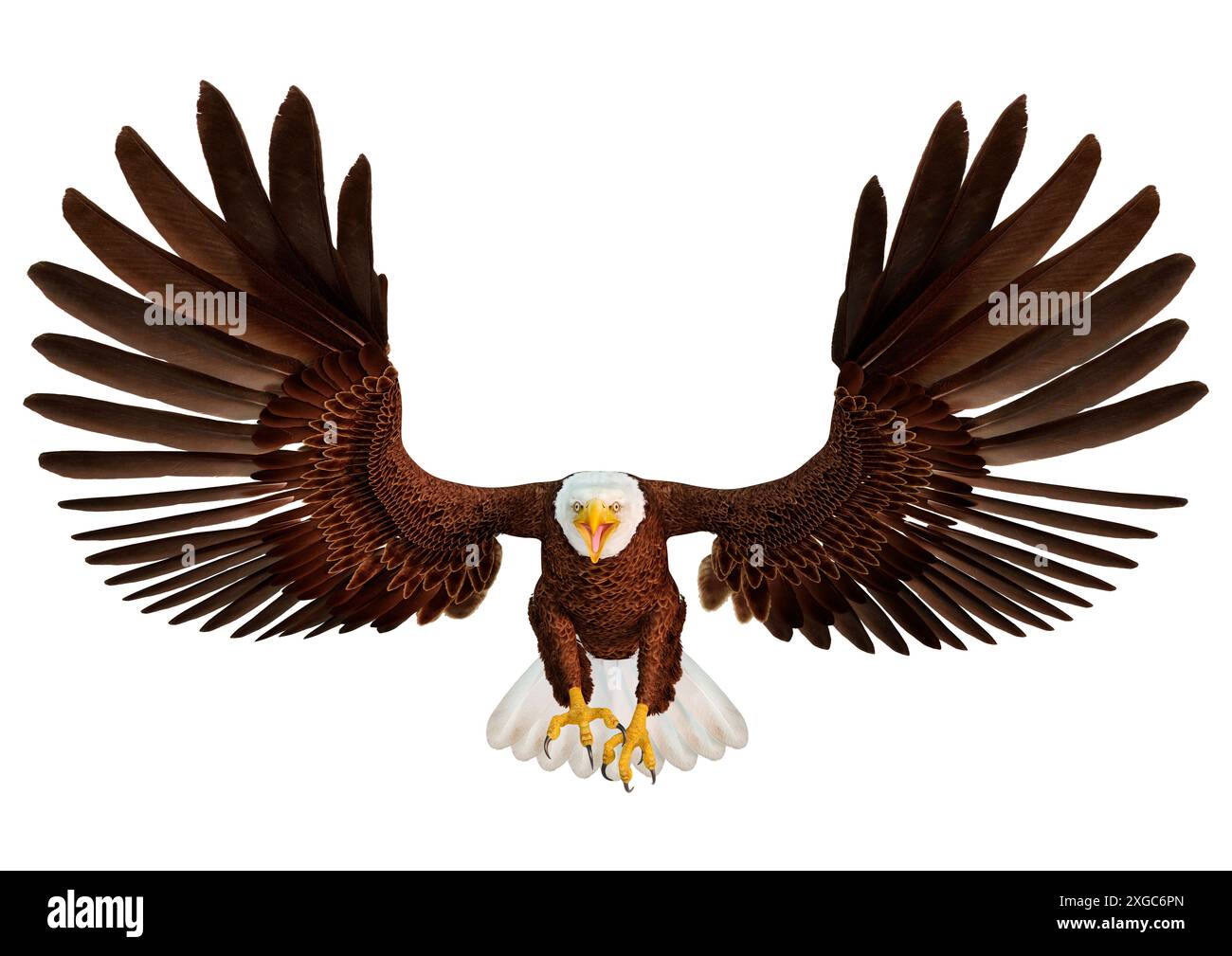 3D rendering of a bald eagle isolated on white background Stock Photo ...