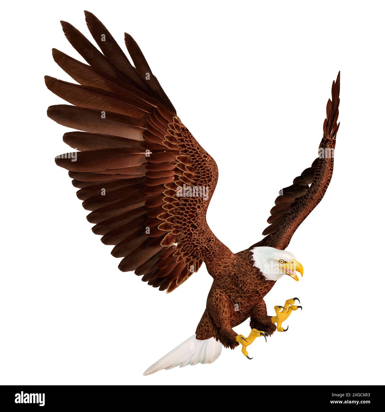 3D rendering of a bald eagle isolated on white background Stock Photo ...