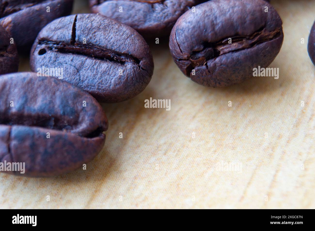 Close up view of coffee bean with customizable space for text or ideas for promotion. Stock Photo