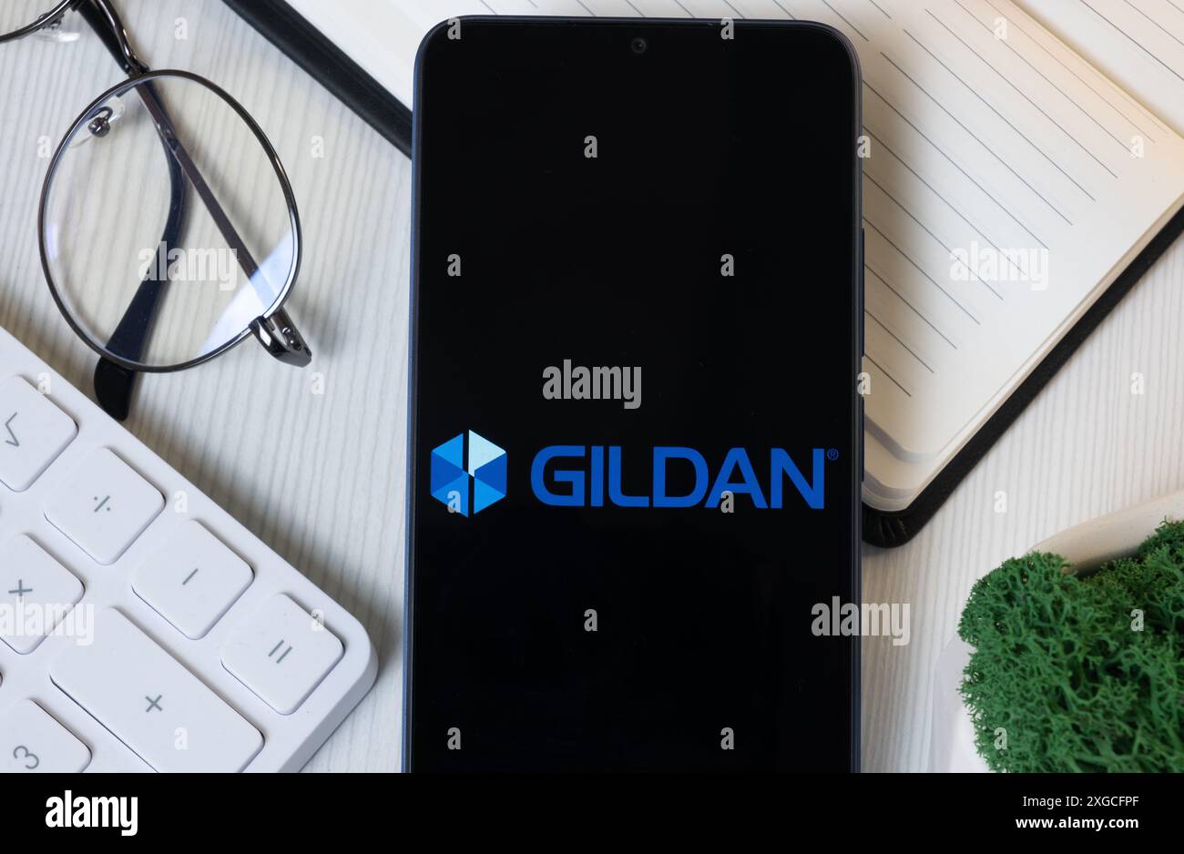 New York, USA - 11 June 2024: Gildan Logo on Phone Screen, Company Icon ...