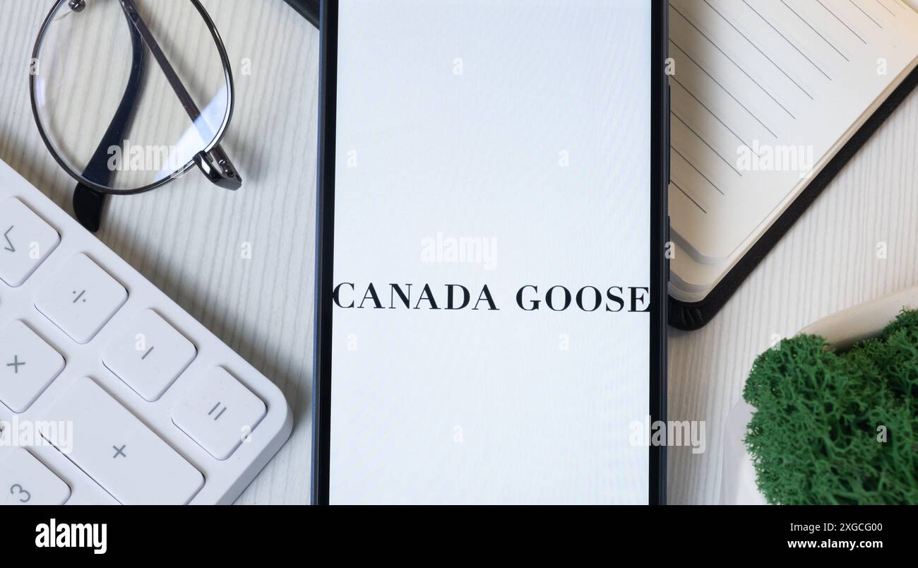 Goose logo hi res stock photography and images Alamy