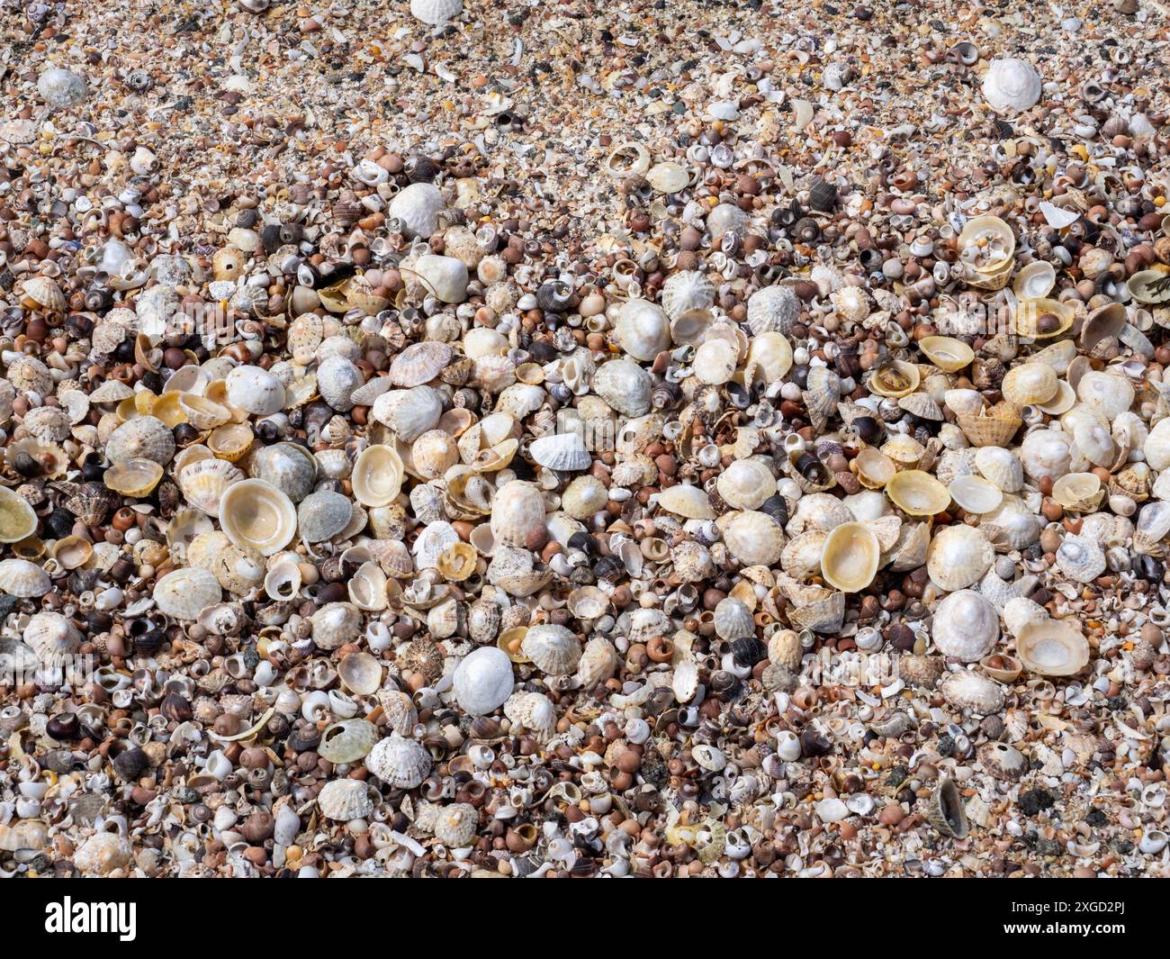 Shell sand beaches sanna near hi-res stock photography and images - Alamy