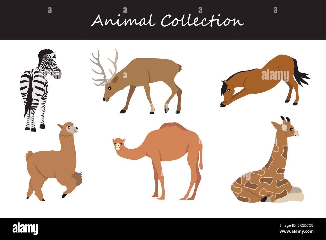 Animals collection. Flat style vector illustration Stock Vector Image ...
